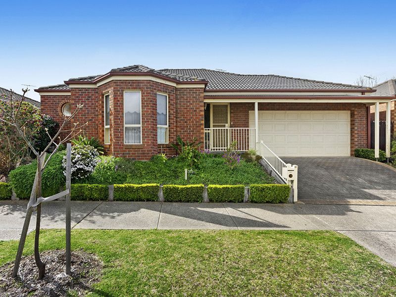 20 Molesworth Drive, Highton VIC 3216, Image 0