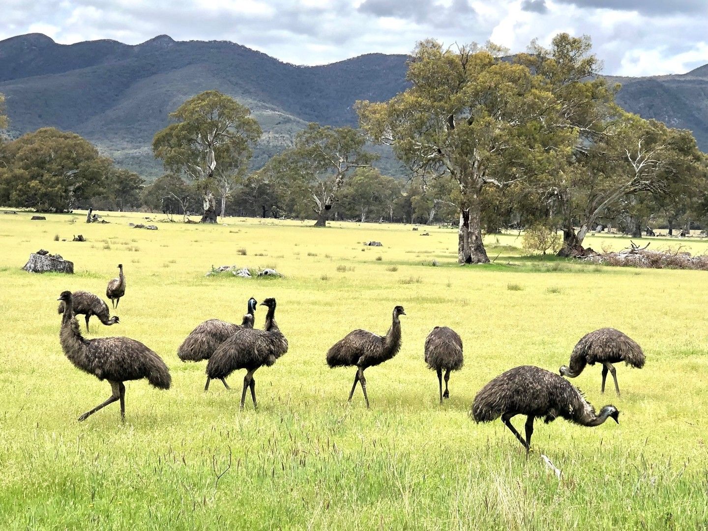 . Panyyabyr Road, Victoria Valley VIC 3294, Image 0