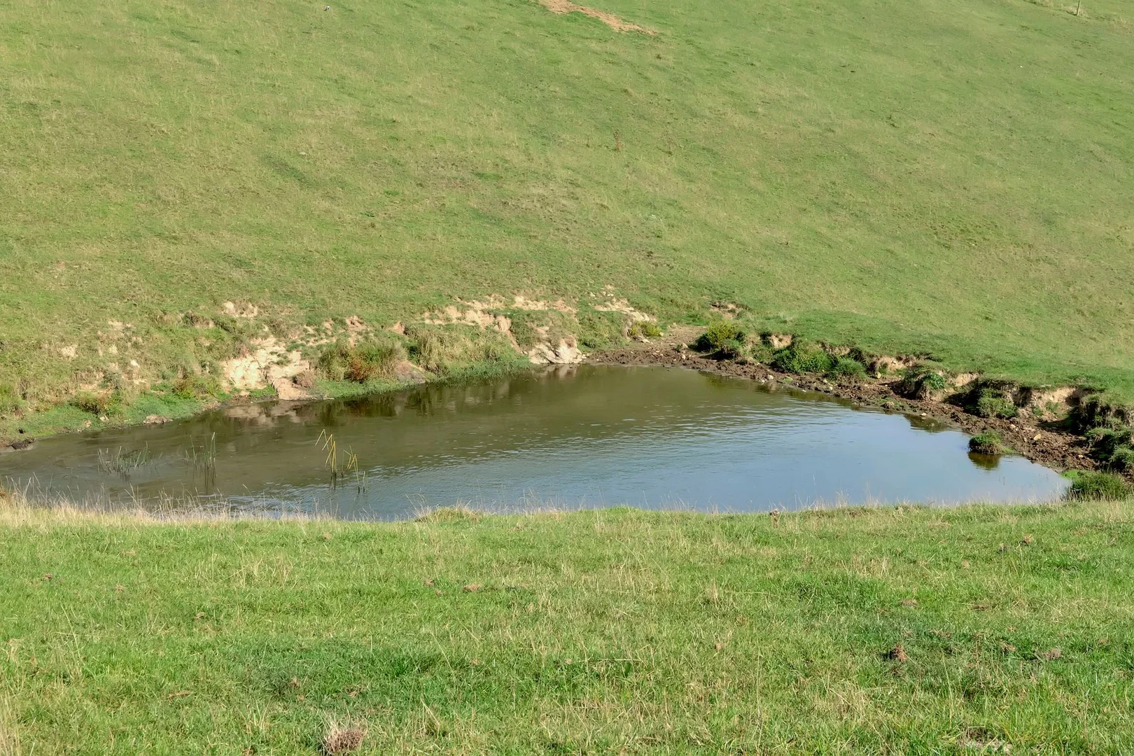 Additional image 32 of 3655 South Gippsland Highway, Foster VIC 3960