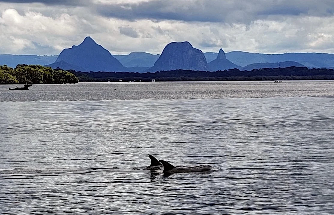 Additional image 15 of 15 Azalea Drive, Bongaree QLD 4507