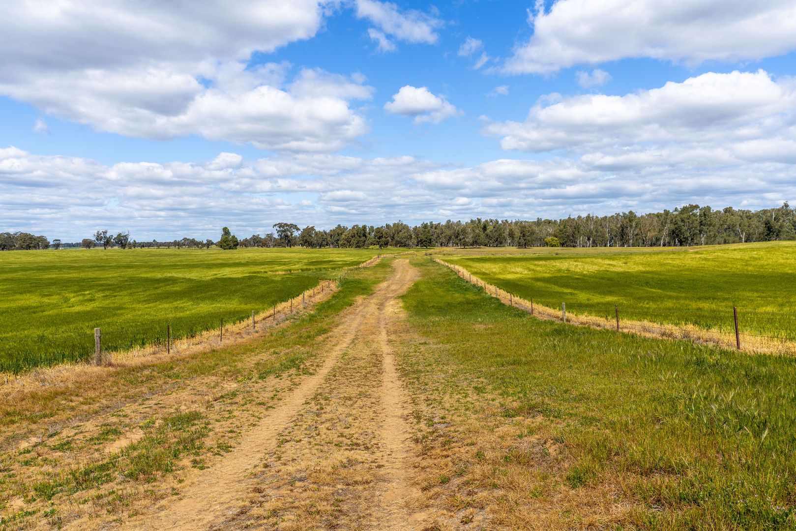 Lot 2/3703 Lot 2/3703 Barooga-Tocumwal Road,, Barooga NSW 3644, Image 1