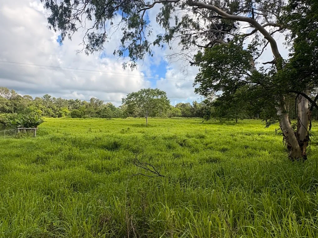 Image 10
