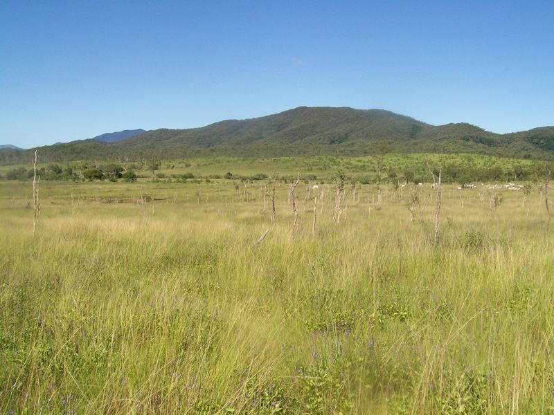 1 Silvercreek Rd, Kelsey Creek QLD 4800, Image 1