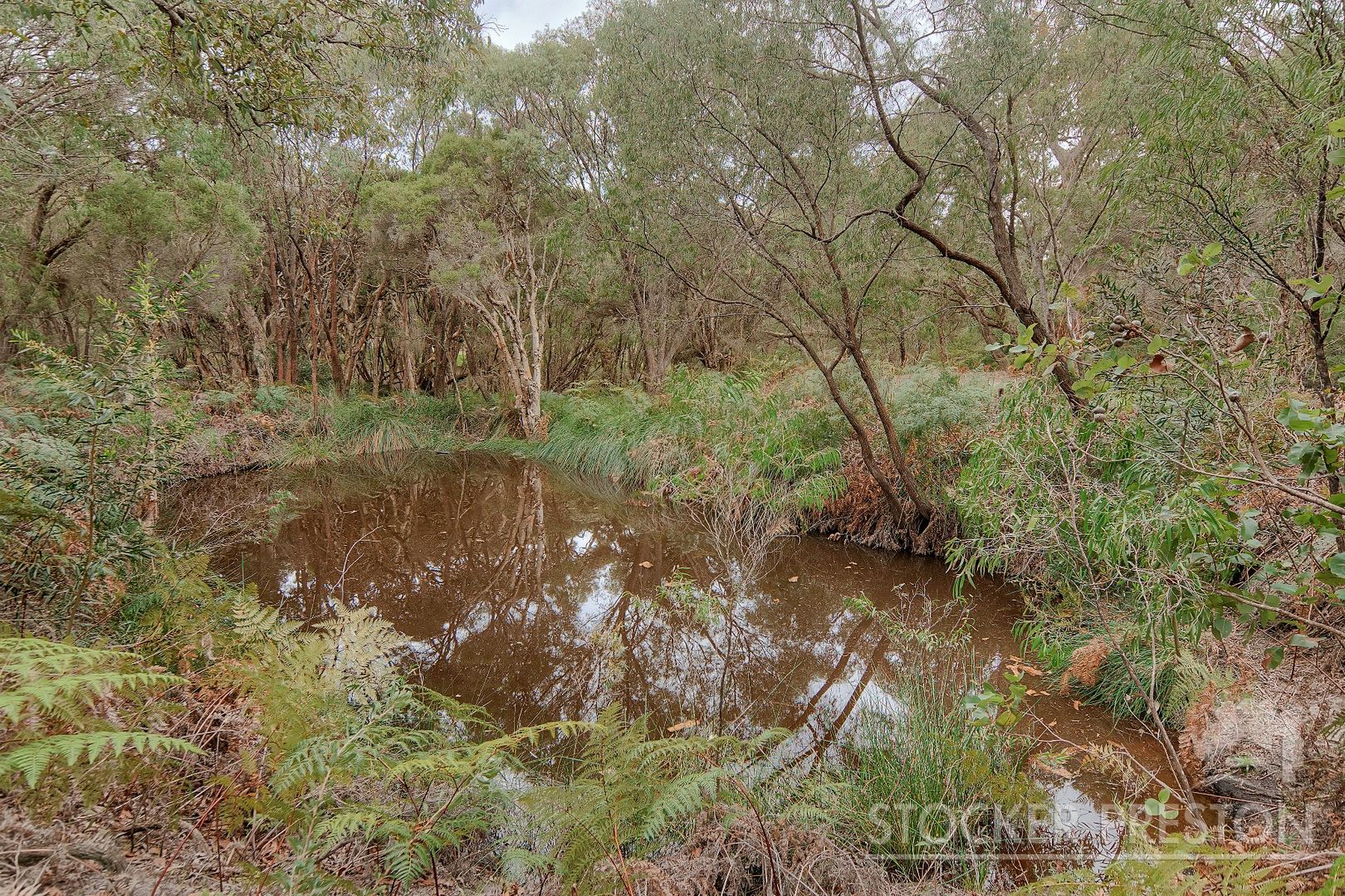 Lot 7 Wardandi Drive, Dunsborough WA 6281, Image 1