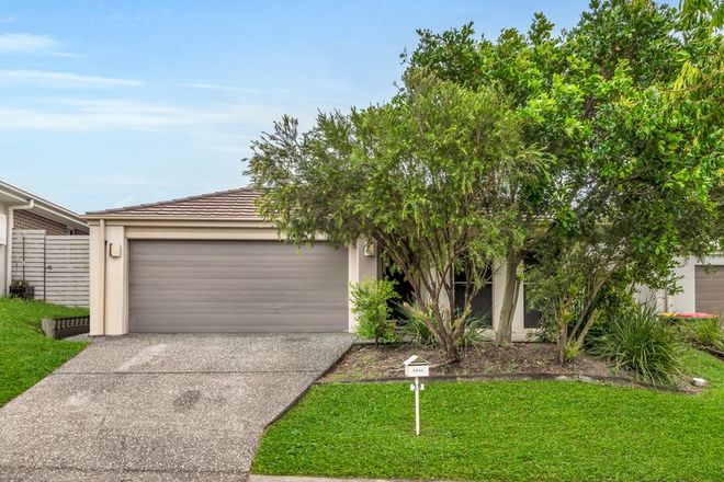 Picture of 39 Greenwich Avenue, PIMPAMA QLD 4209