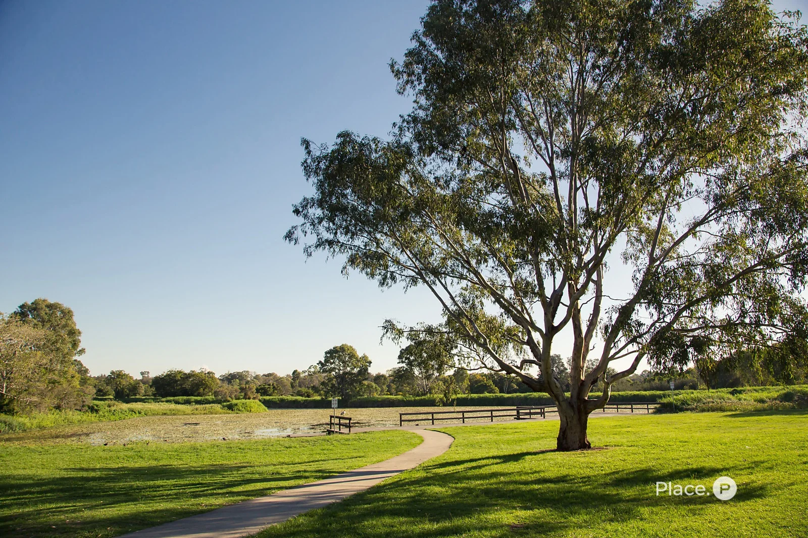 Additional image 23 of 7 Lydford Court, Carindale QLD 4152