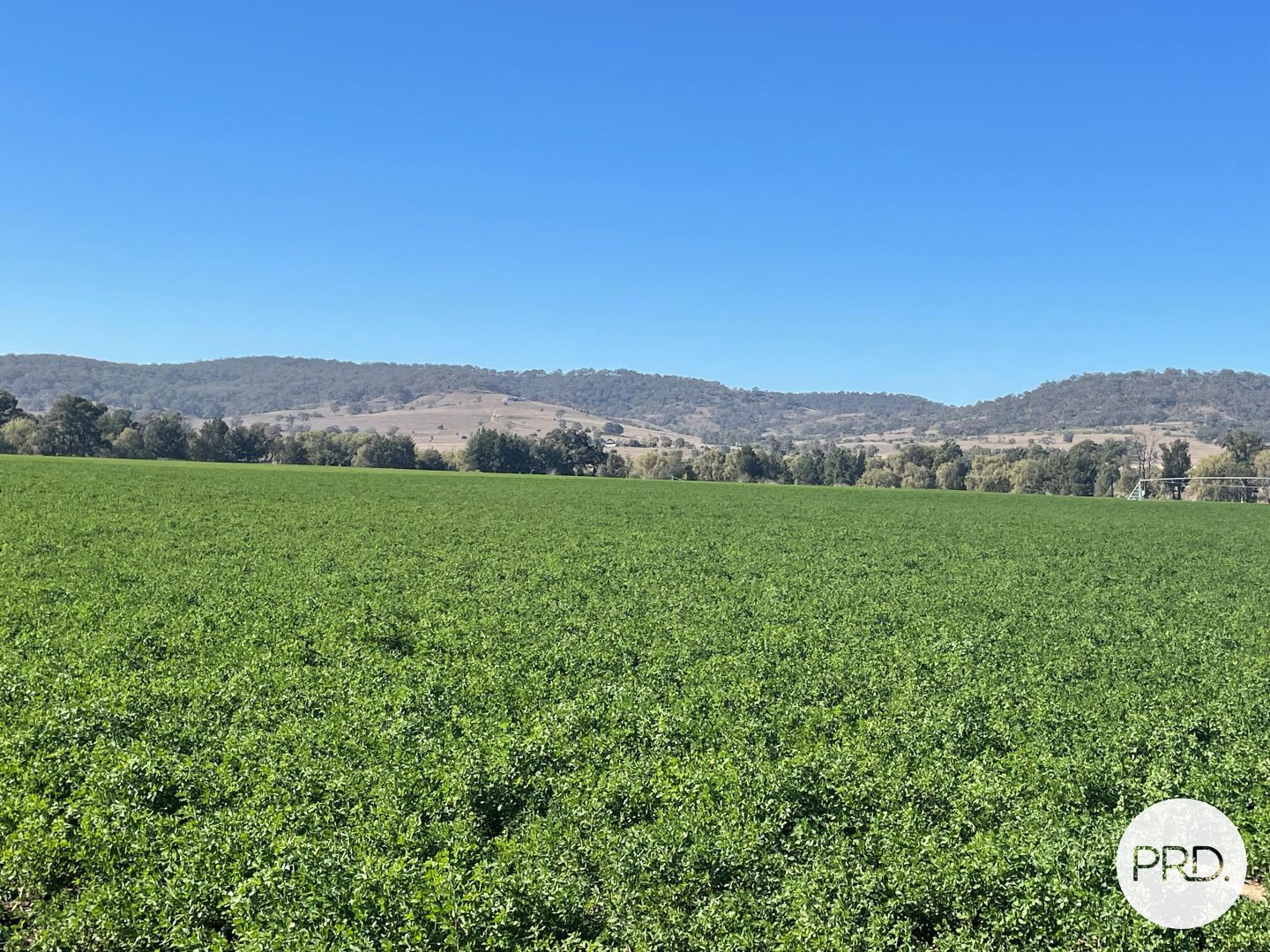 2291 Denman Road, Denman Property History & Address Research Domain