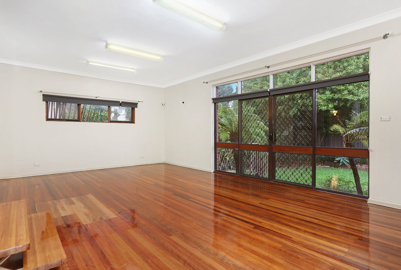 66 Newton Road, Strathfield NSW 2135, Image 1