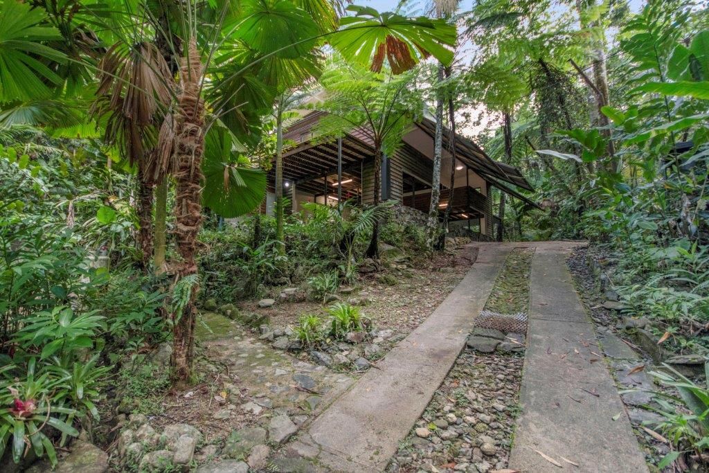 71 Candlenut Road, Daintree QLD 4873, Image 0