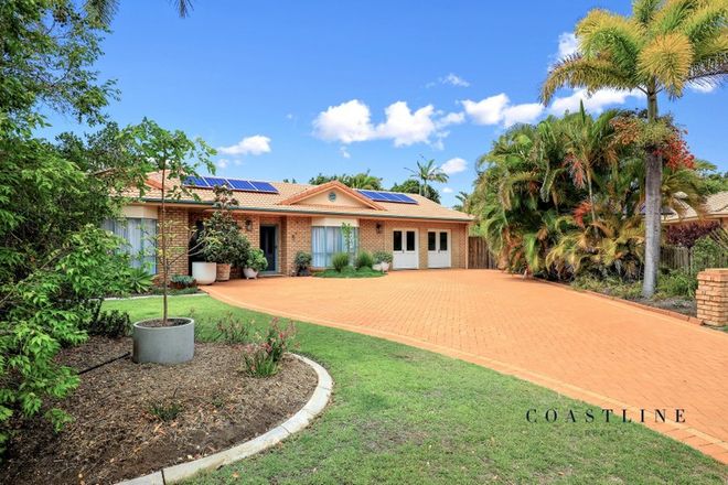 Picture of 5 Woodglen Close, BARGARA QLD 4670