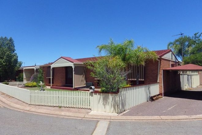 Picture of 7 KARINGAL CLOSE, WHYALLA NORRIE SA 5608