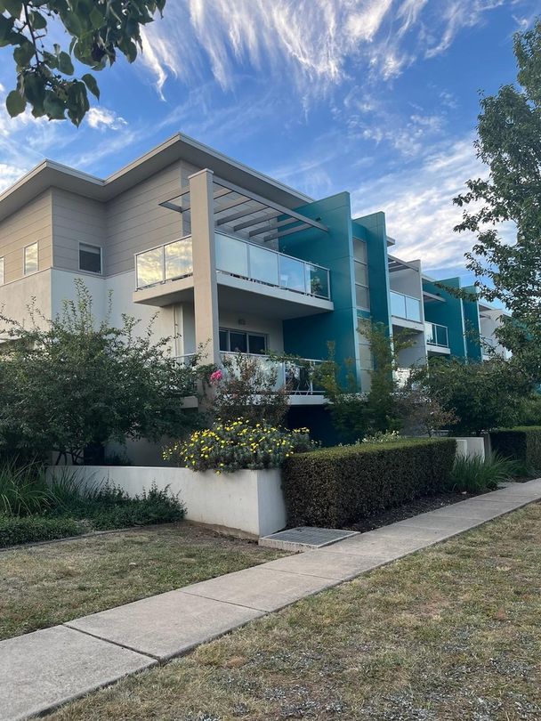 311 Flemington Road, Gungahlin ACT 2912 Apartment For Rent Domain