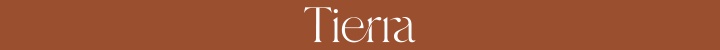 Branding for Tierra
