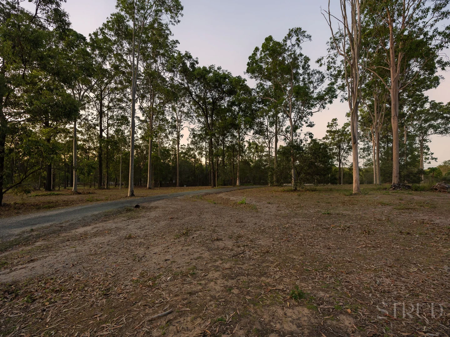 Image 19