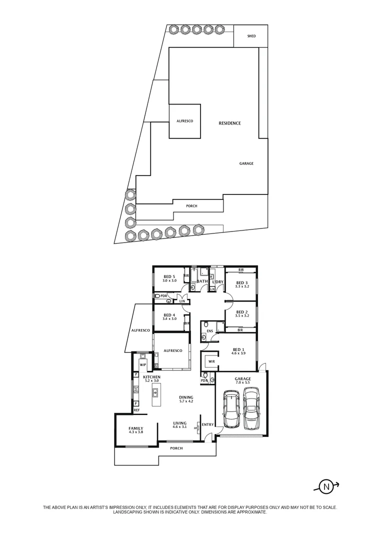 Image 19