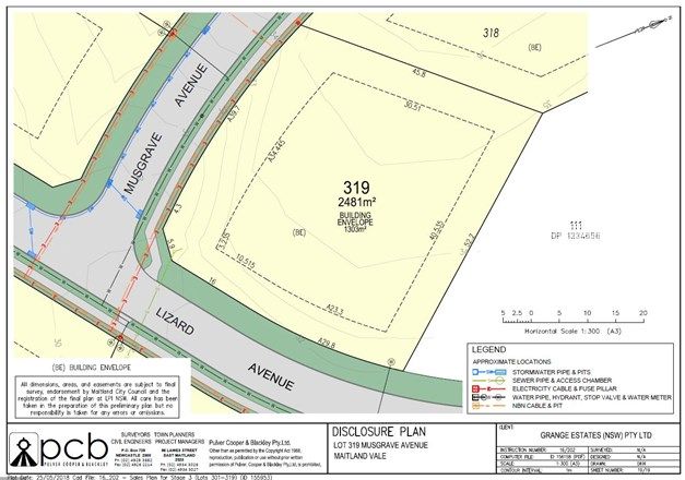 Picture of Lot 319 Musgrave Avenue, MAITLAND VALE NSW 2320