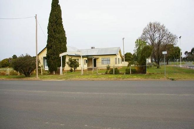 Picture of 68 Mahonga Street, JERILDERIE NSW 2716