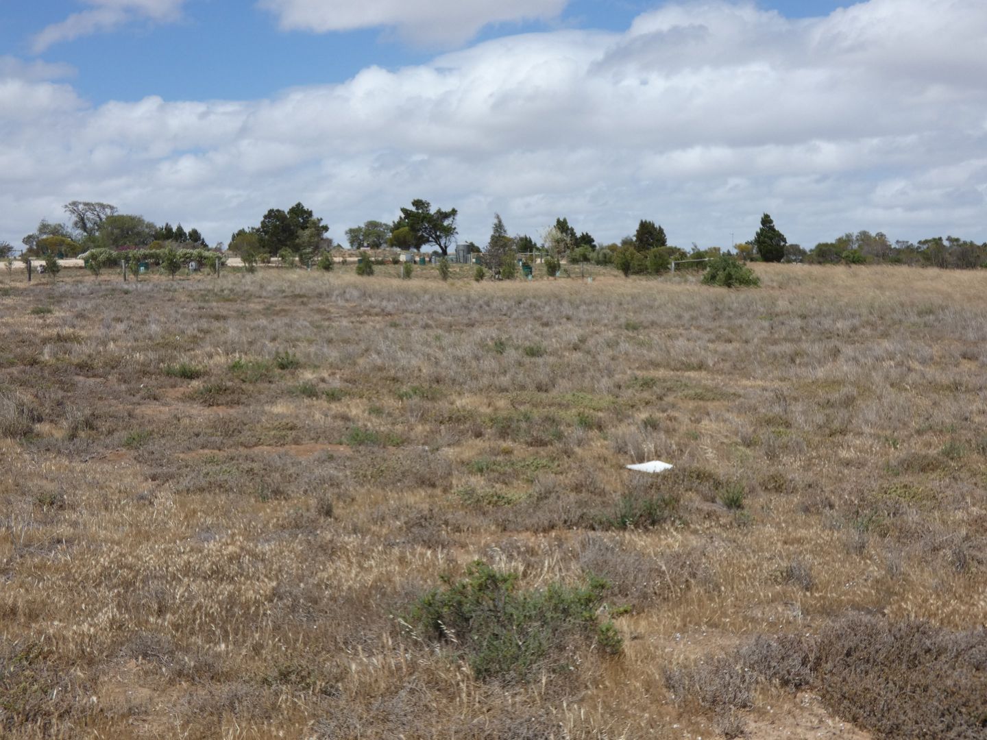 Lot 831 Riley Road, Wellington East SA 5259, Image 2