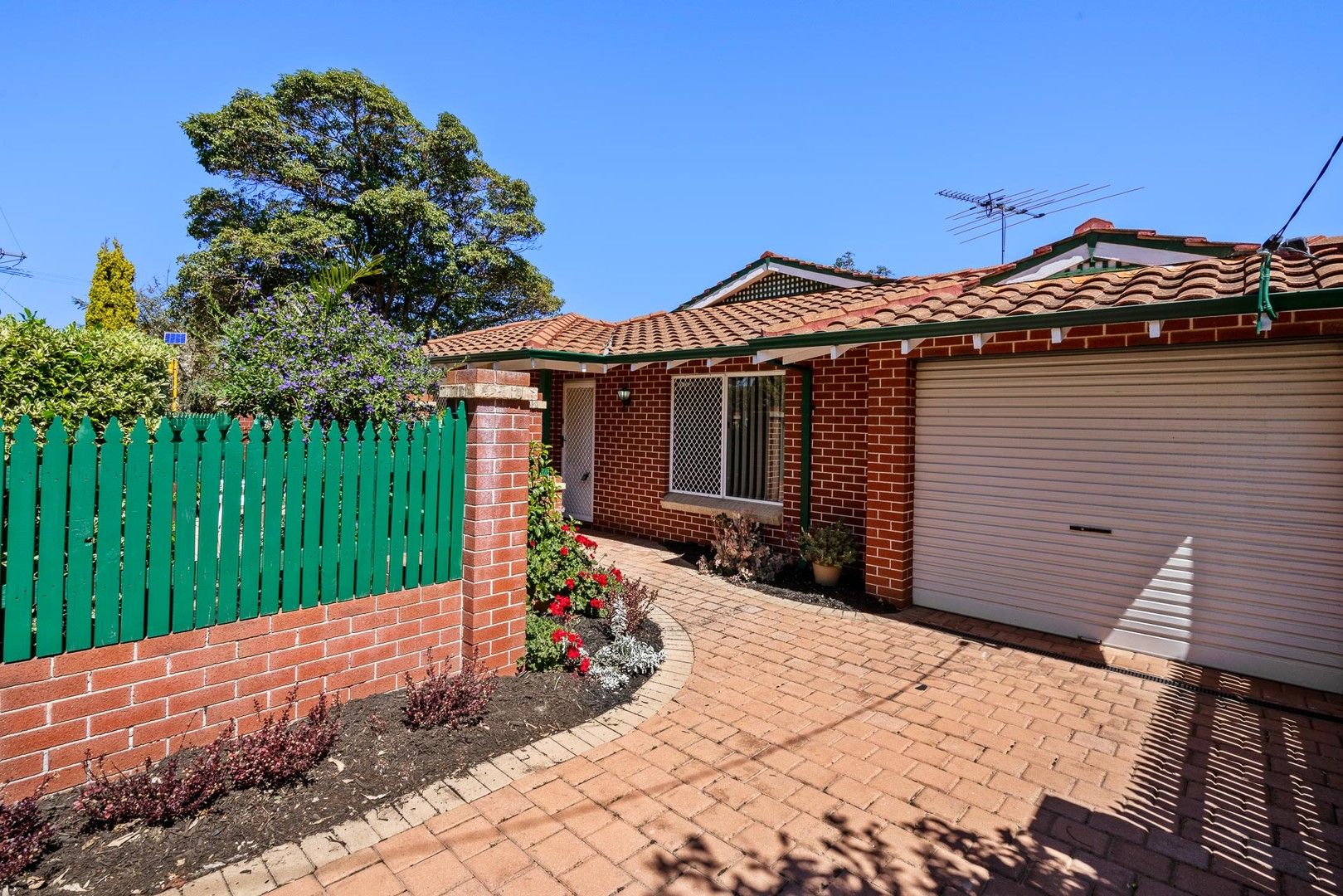 220 St Brigids Terrace, Doubleview WA 6018, Image 1