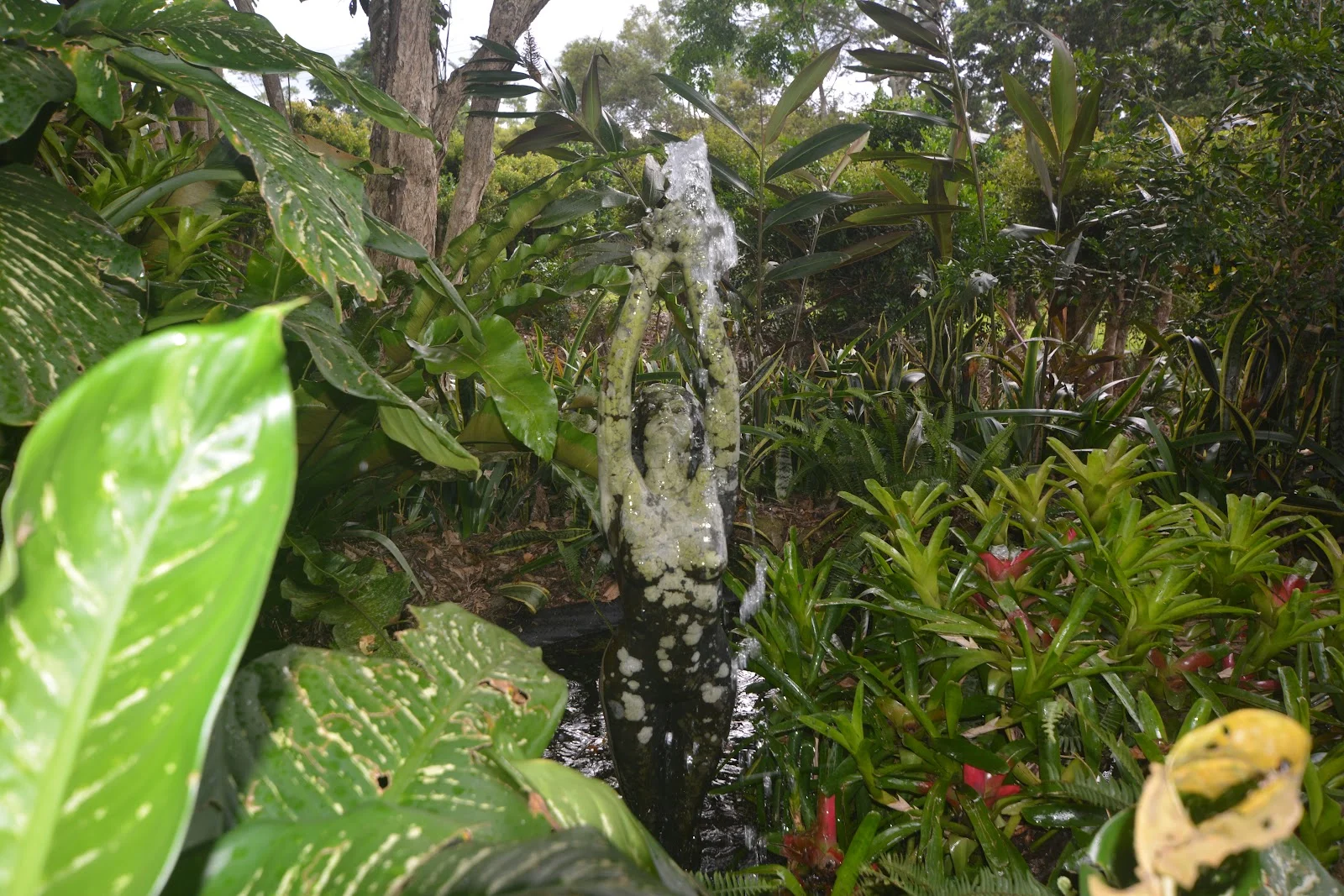Image 8