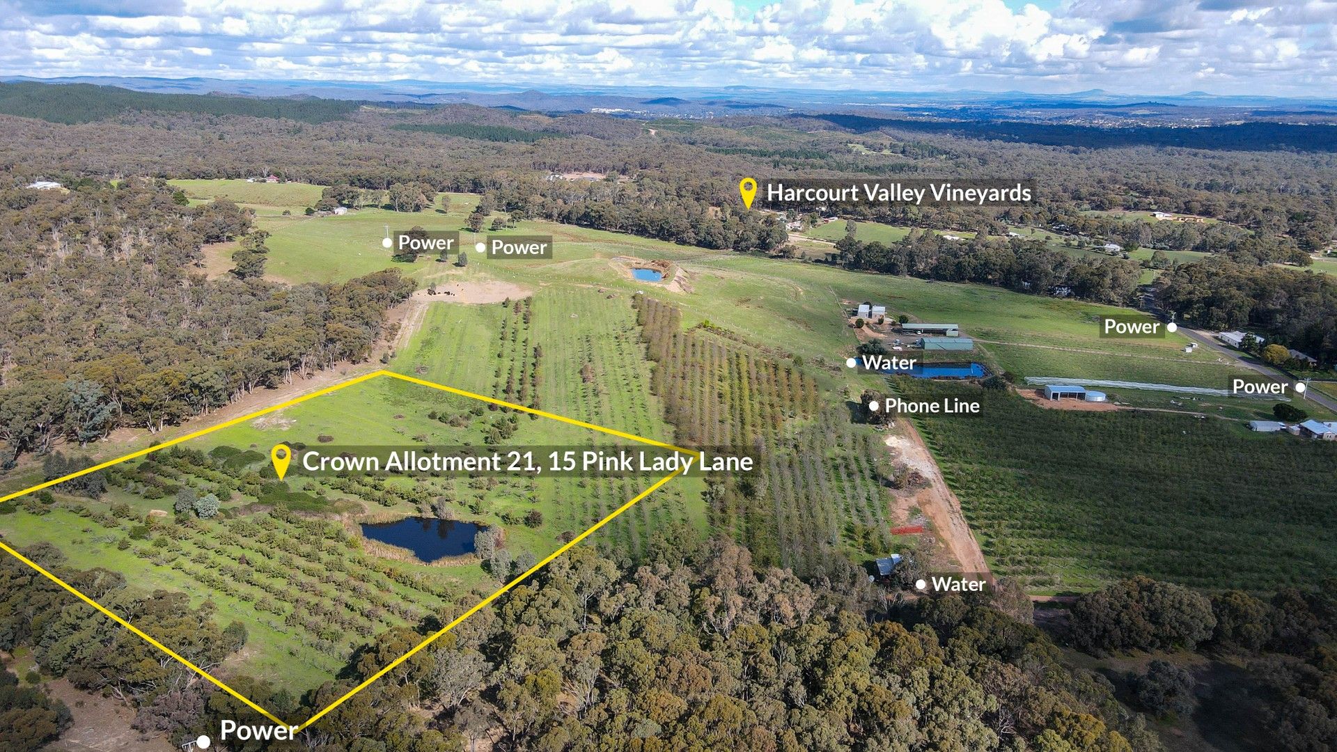 CA 21 15 Pink Lady Lane, Harcourt VIC 3453 Domain