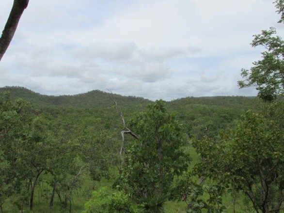 Lot 5213 Dorat Road, Robin Falls NT 0822, Image 1