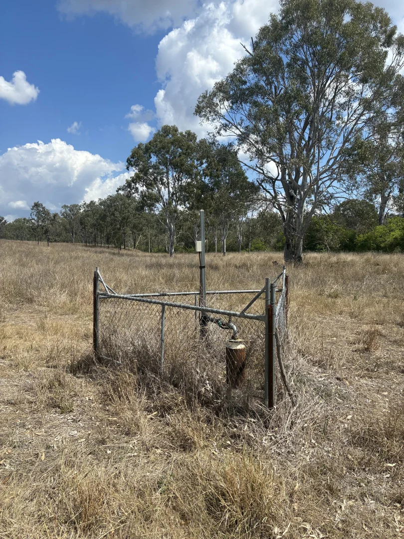 Image 15