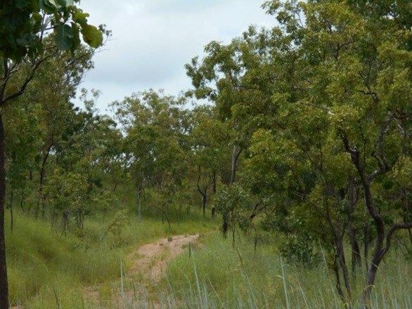 Fred Hardy Drive, Robin Falls NT 0822, Image 0