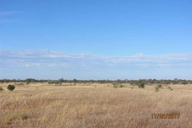 Picture of * Mount Kew, WILCANNIA NSW 2836