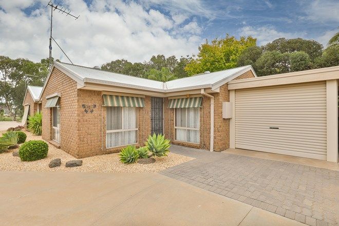 Picture of 3/221 Adams Street, WENTWORTH NSW 2648