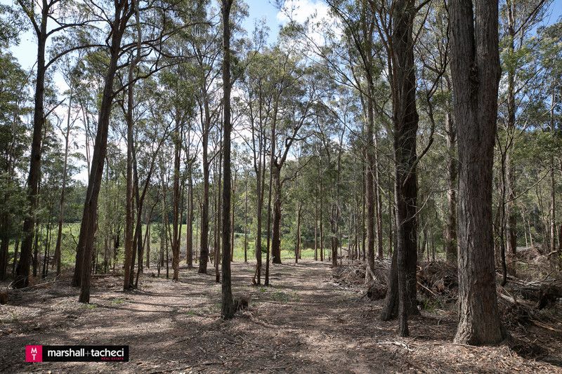 Lot 1 Tathra-Bermagui Road, Murrah NSW 2546, Image 2