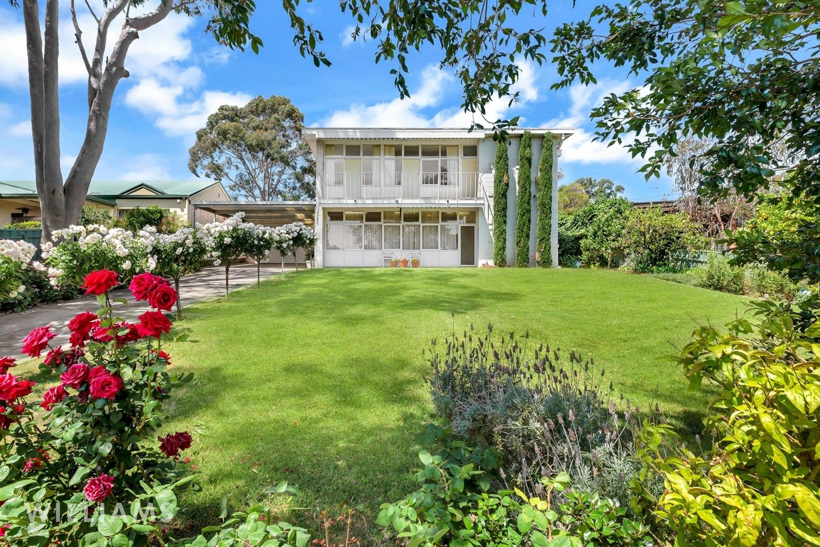 16 George Street, Torrens Park SA 5062, Image 0