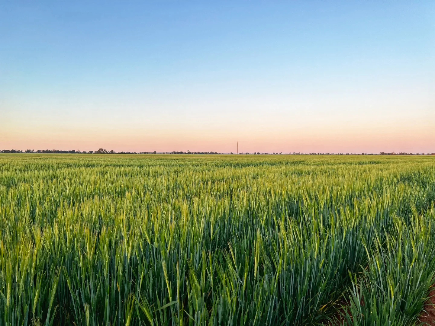 Additional image 23 of Rosewood Aggregation 7033 The Gipps Way, Condobolin NSW 2877