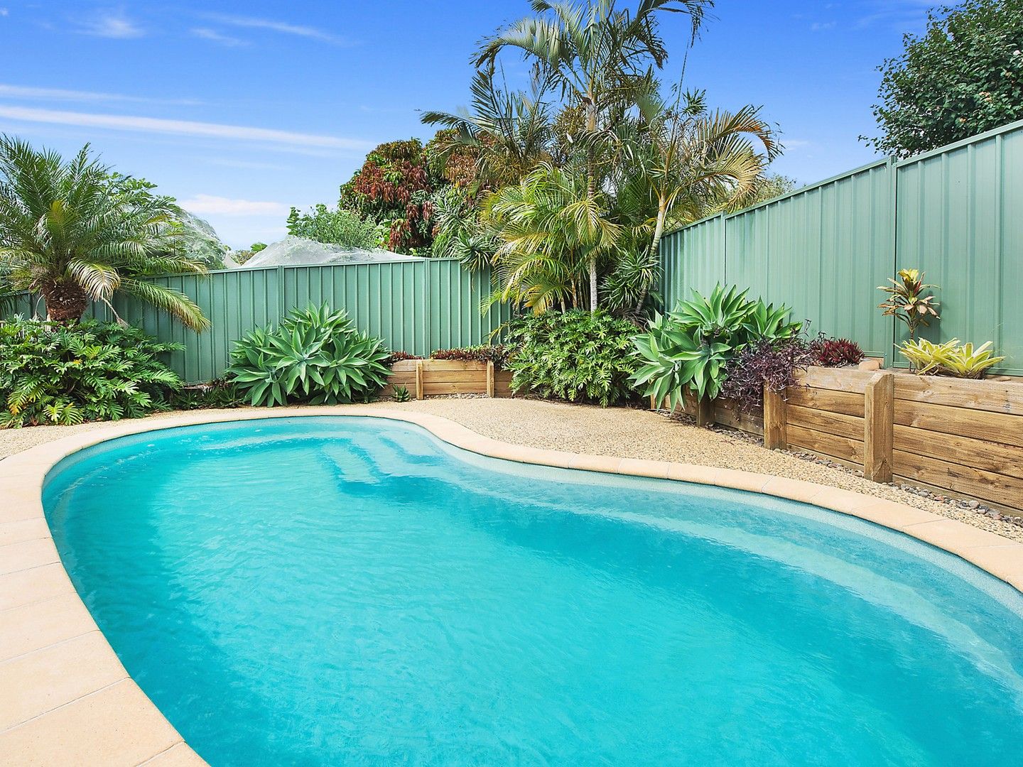 7 Kyogle Place, Port Macquarie NSW 2444 House For Rent Domain