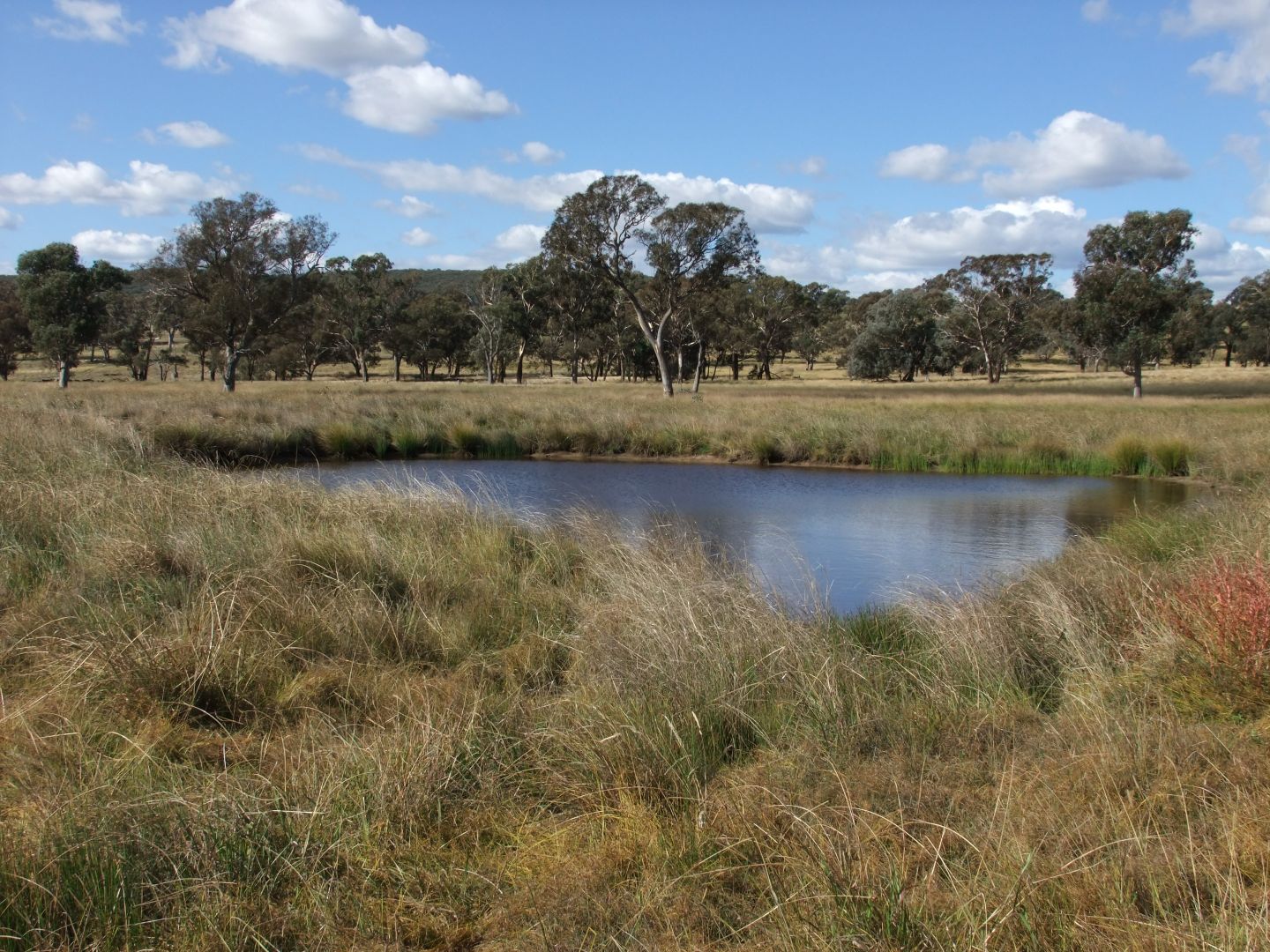 1910 Lagoon Road, Bathurst NSW 2795, Image 1