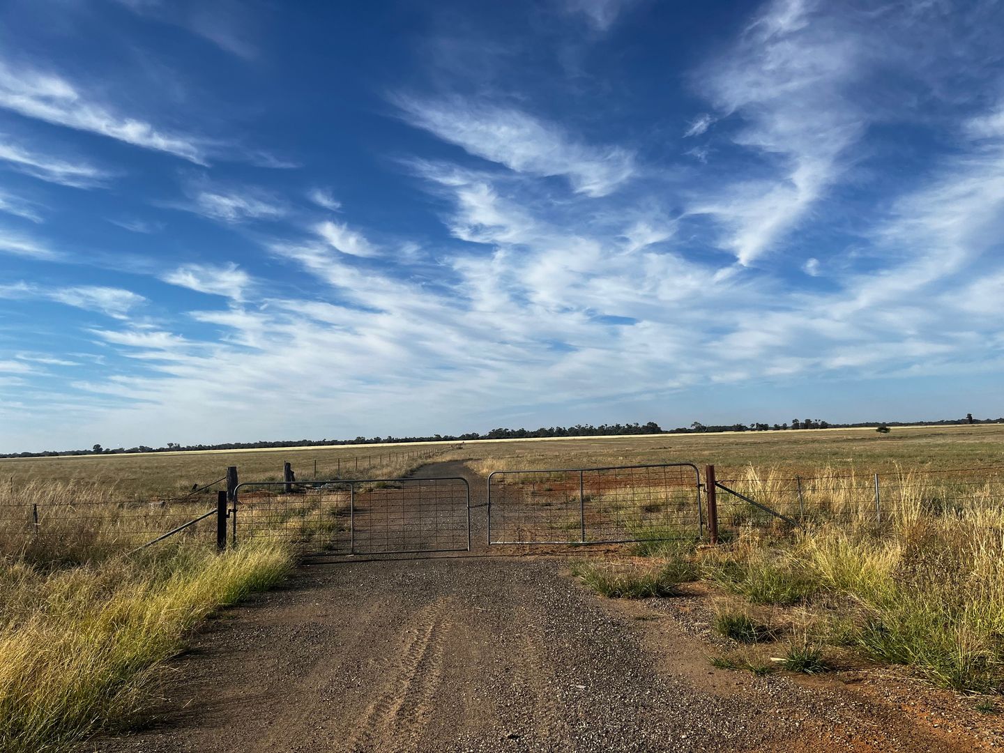 _ Corner of Dingee Road and Trounson Road, Diggora VIC 3561, Image 1