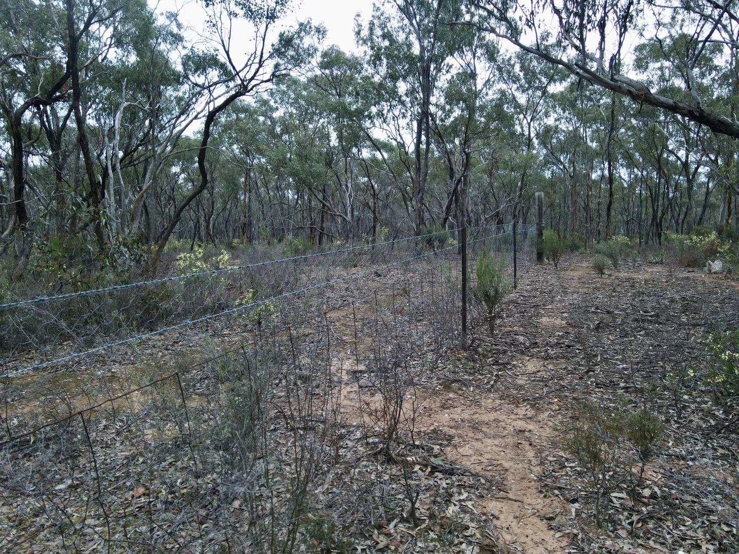 Image 9