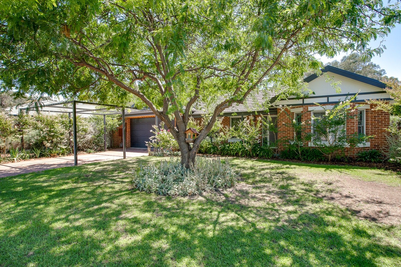 36 Irene Court, North Albury NSW 2640, Image 0