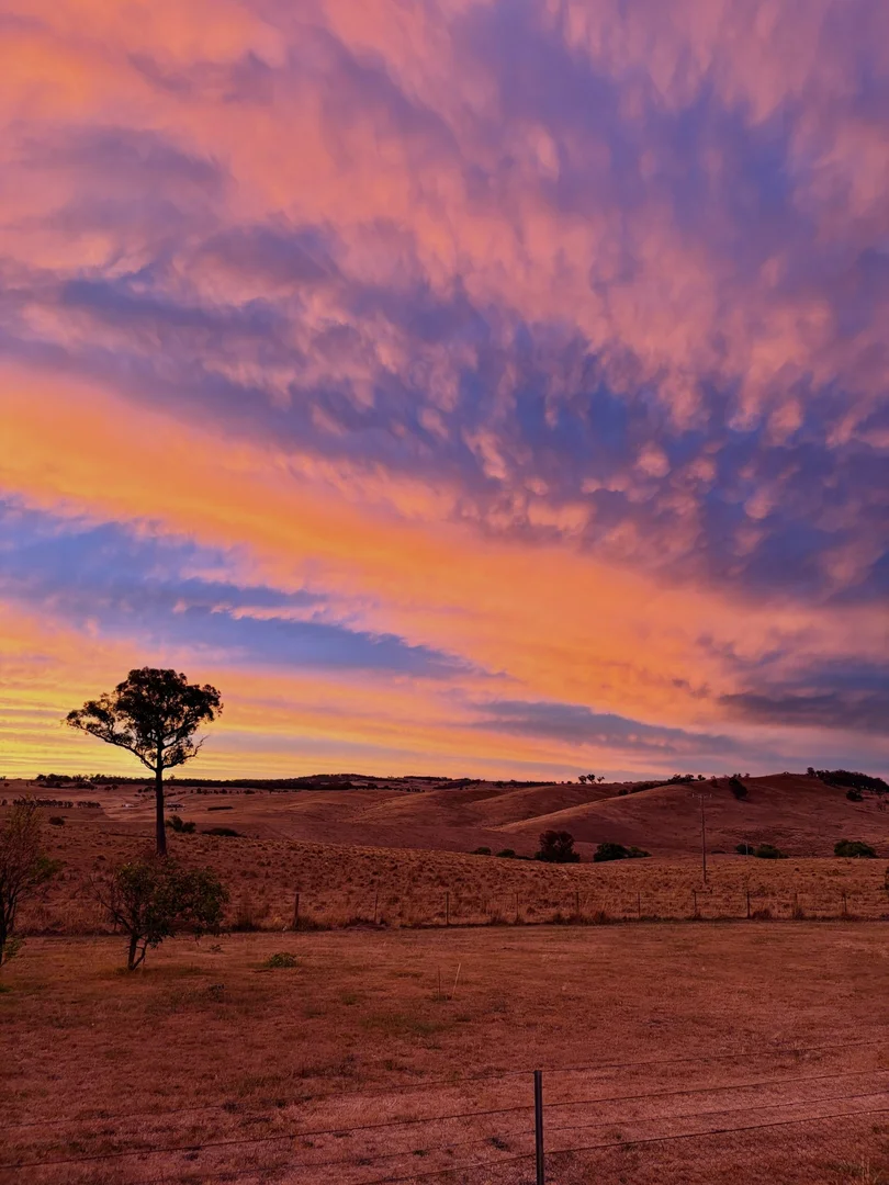 Additional image 54 of 1873 Peelwood Road, Laggan NSW 2583