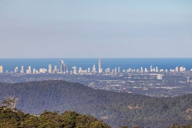 Picture of 51 Staghorn Road, TAMBORINE MOUNTAIN QLD 4272