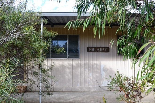 Picture of 1 Eucla Court, BREMER BAY WA 6338