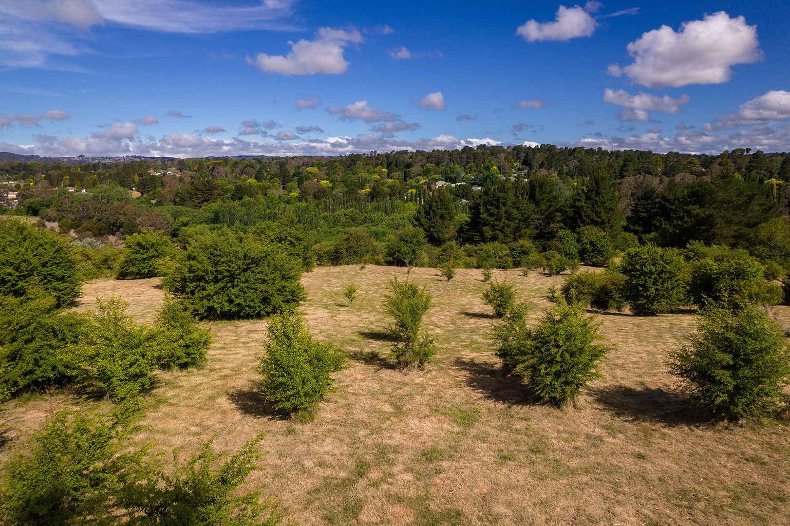 Lot 6 Parry Drive, Bowral NSW 2576, Image 1