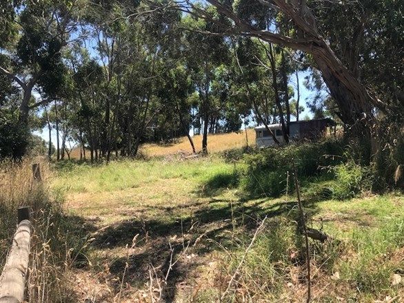 Lot 7 Timboon Curdievale Road, Timboon West VIC 3268, Image 2