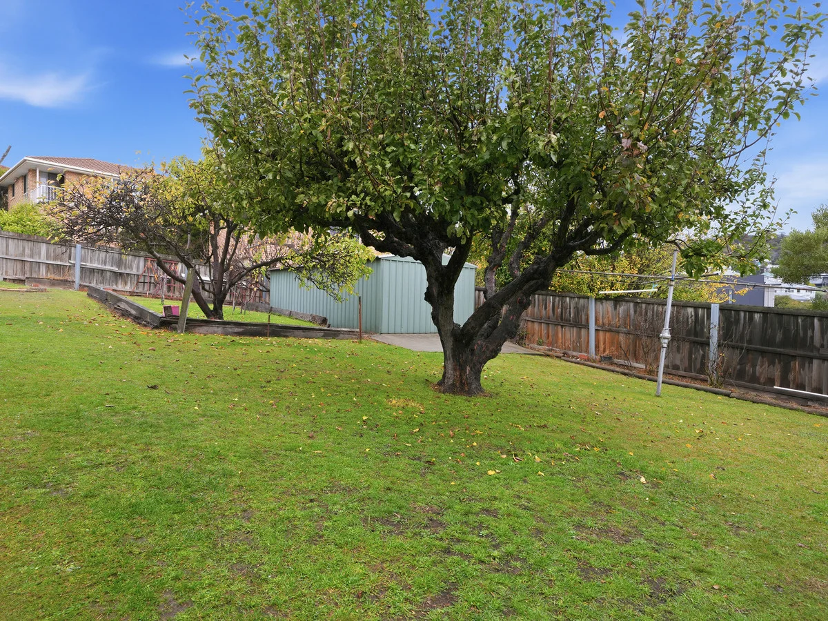 Image 12