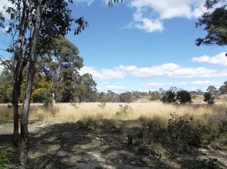 Lot 1 New England Highway, Dalveen QLD 4374, Image 1