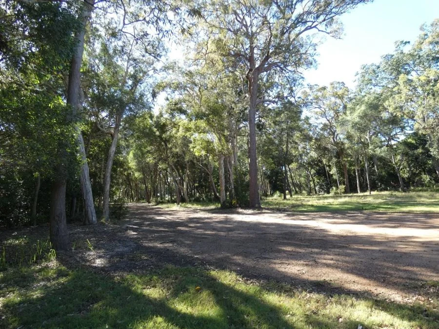 Image 7