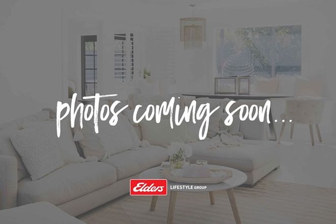 95 rental properties in blackmans point nsw 2444 domain