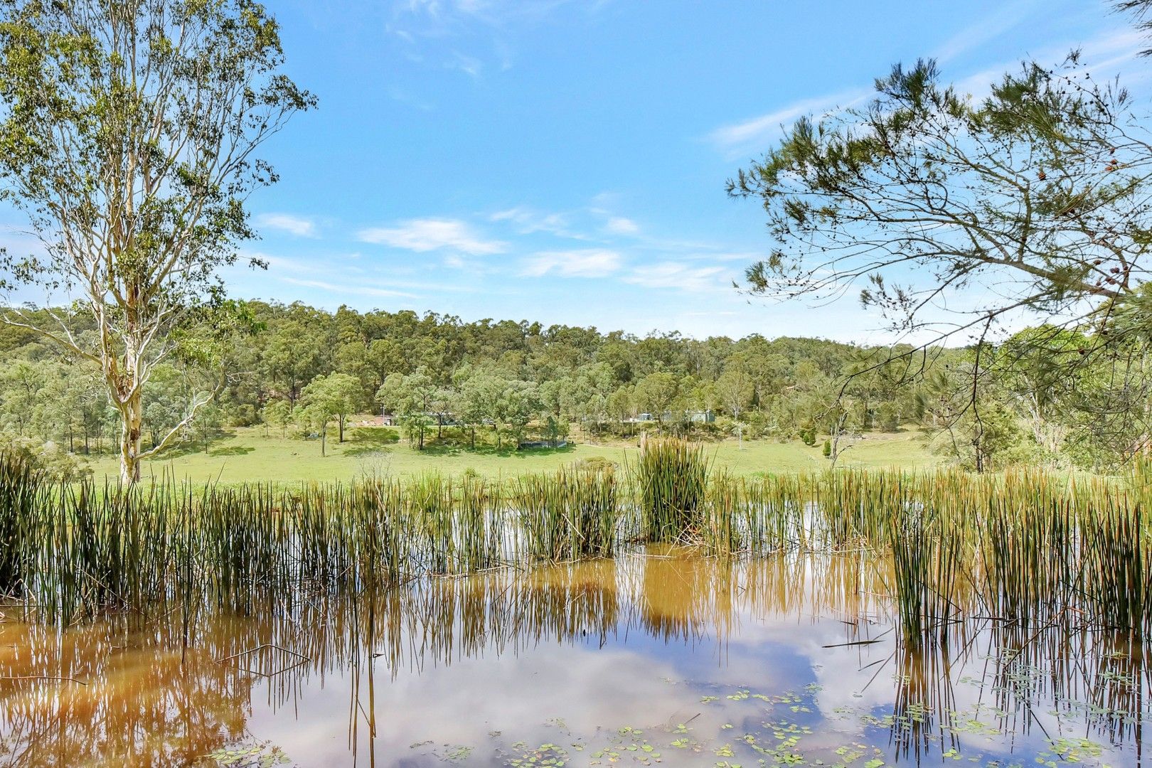 93 Stapleton Road, Laguna NSW 2325 House for Sale Domain