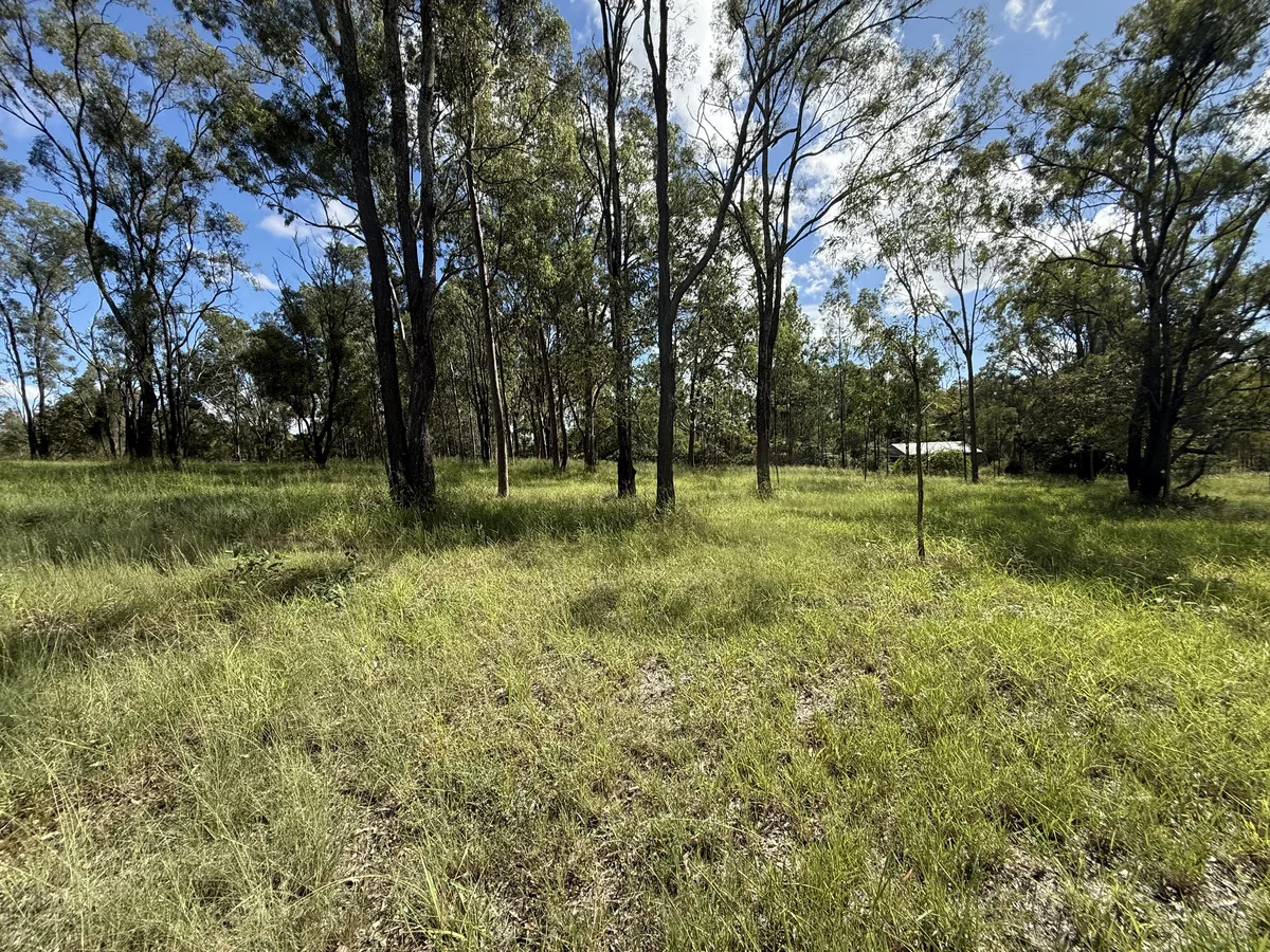 Additional image 2 of 52 Raymont Drive, North, Glenore Grove QLD 4342
