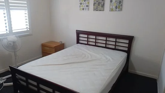 Additional image 14 of 3 Mahogany Place, Molendinar QLD 4214